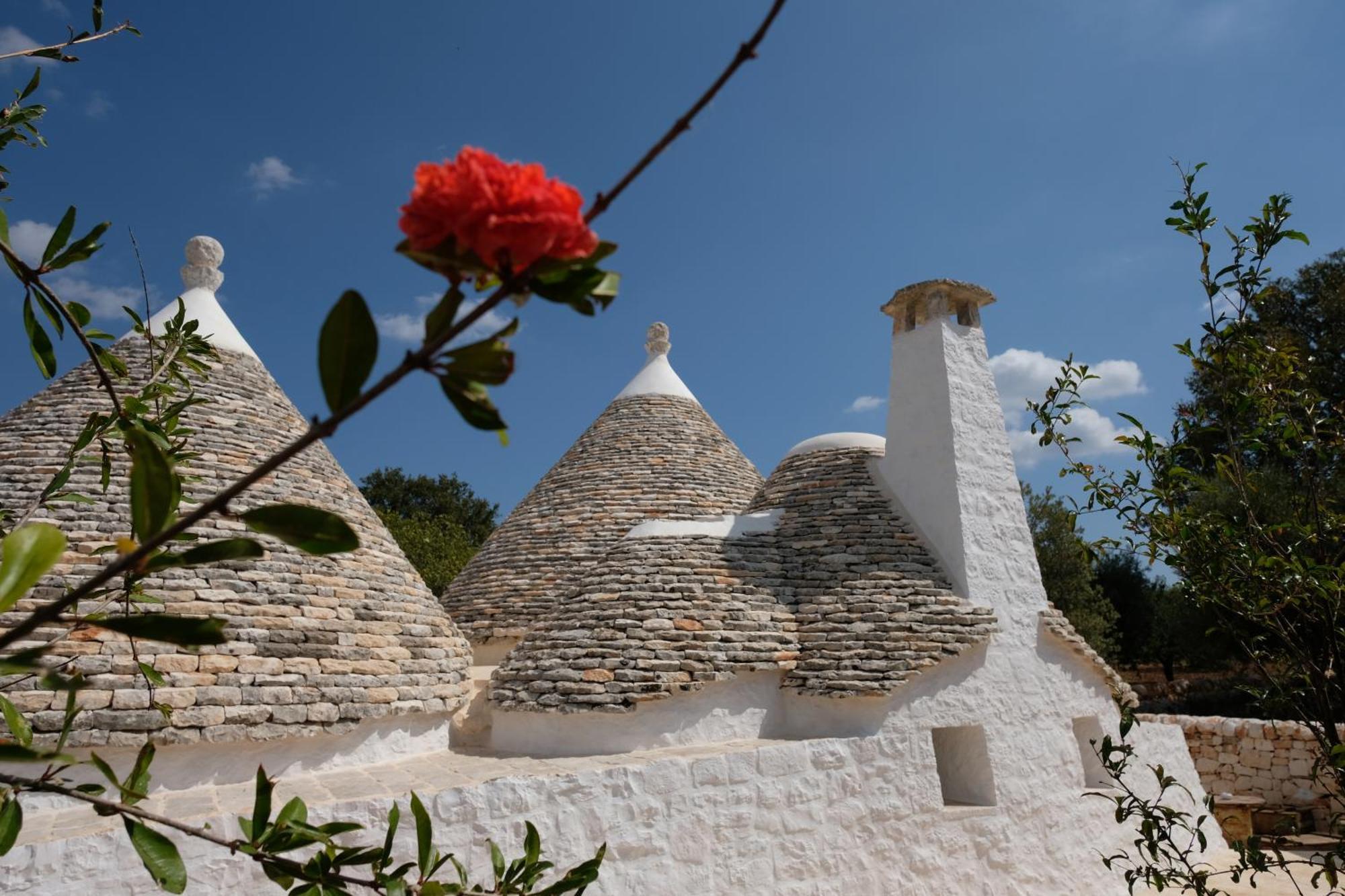 Dimora Iconica Villa Locorotondo Bagian luar foto